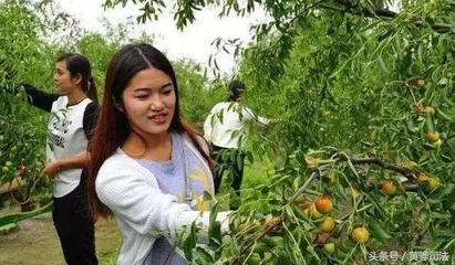 既然沧州这么美，为什么不去看看！——黄骅观光旅游全攻略