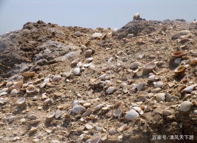 黄骅海边自驾游全攻略 探秘古贝堤，感受渤海湾的沧海桑田
